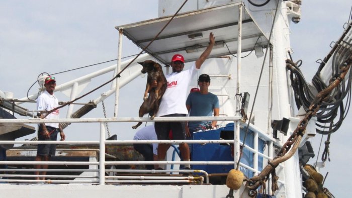 A man holds Bella, the dog that was rescued with the Australian sailor Timothy Lindsay Shaddock, 54, after being adrift for over two months, as they arrive aboard a Mexican tuna trawler, in Manzanillo, Mexico, July 18, 2023. Credit: Reuters Photo A man holds Bella, the dog that was rescued with the Australian sailor Timothy Lindsay Shaddock, 54, after being adrift for over two months, as they arrive aboard a Mexican tuna trawler, in Manzanillo, Mexico, July 18, 2023. Credit: Reuters Photo