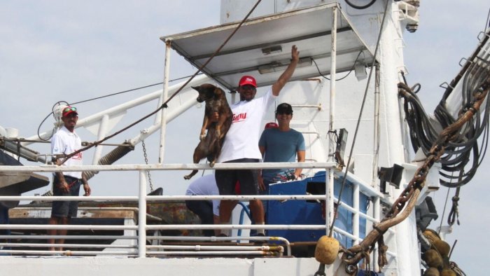 A man holds Bella, the dog that was rescued with the Australian sailor Timothy Lindsay Shaddock, 54, after being adrift for over two months, as they arrive aboard a Mexican tuna trawler, in Manzanillo, Mexico, July 18, 2023. Credit: Reuters Photo